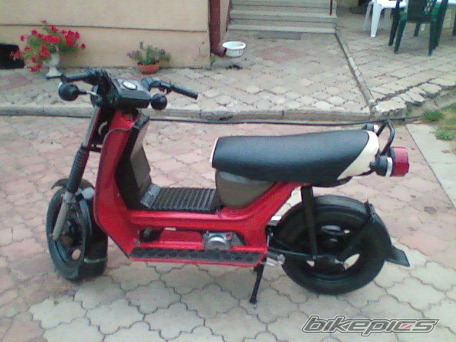 Photo 977458