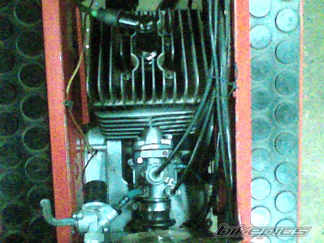 Photo 977488