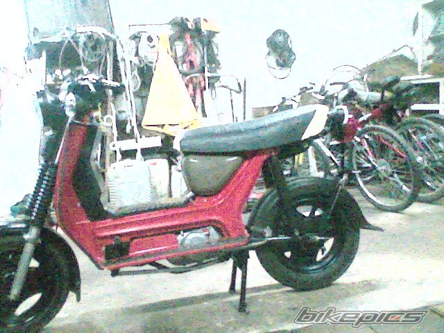 Photo 977495