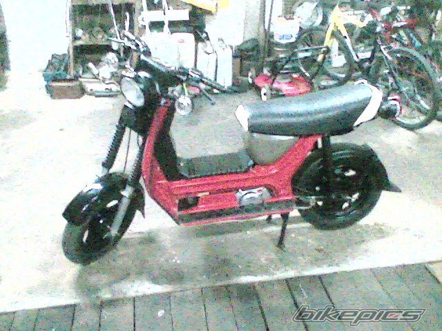 Photo 977497