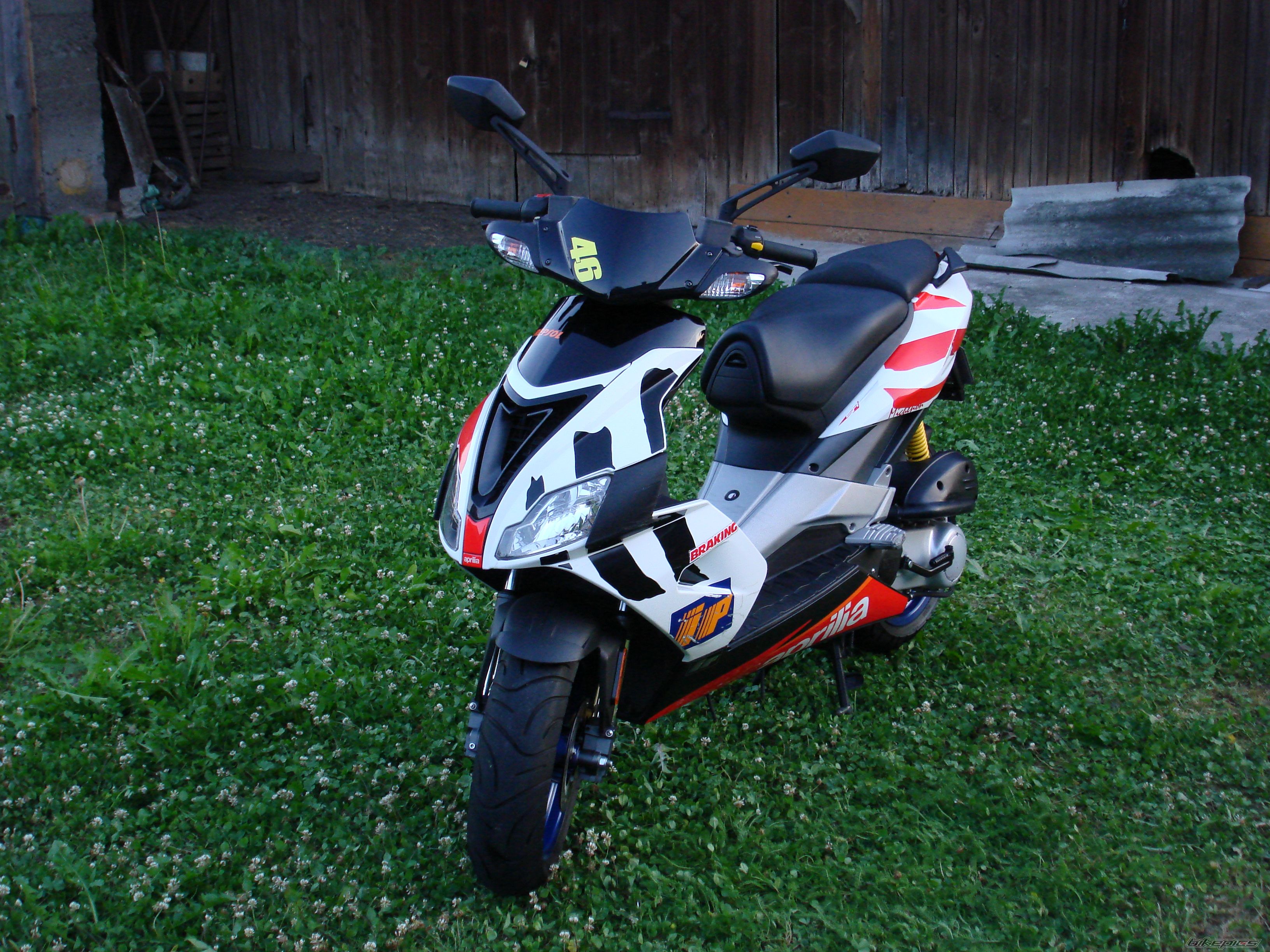 Photo 977530