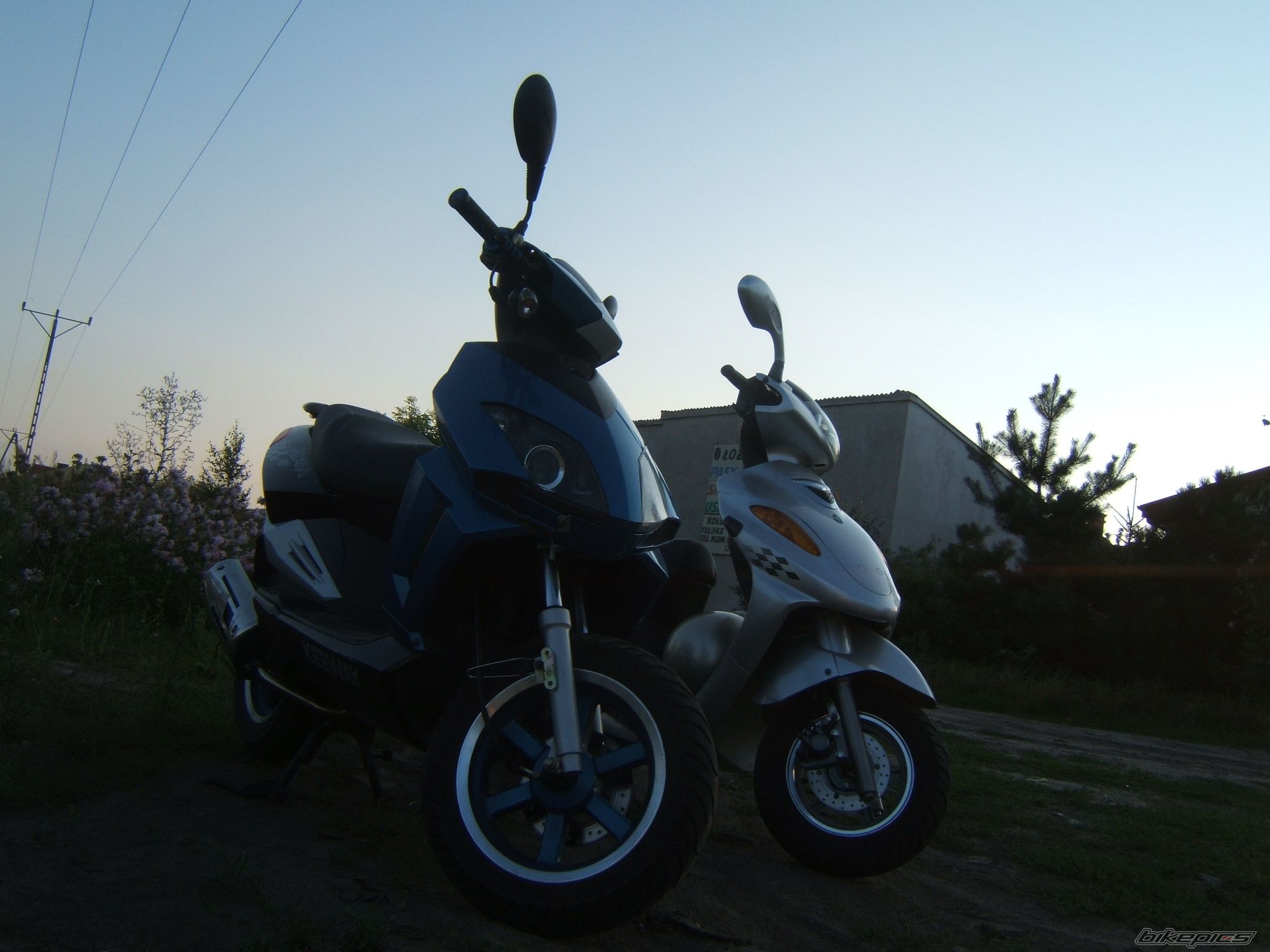 Photo 977579