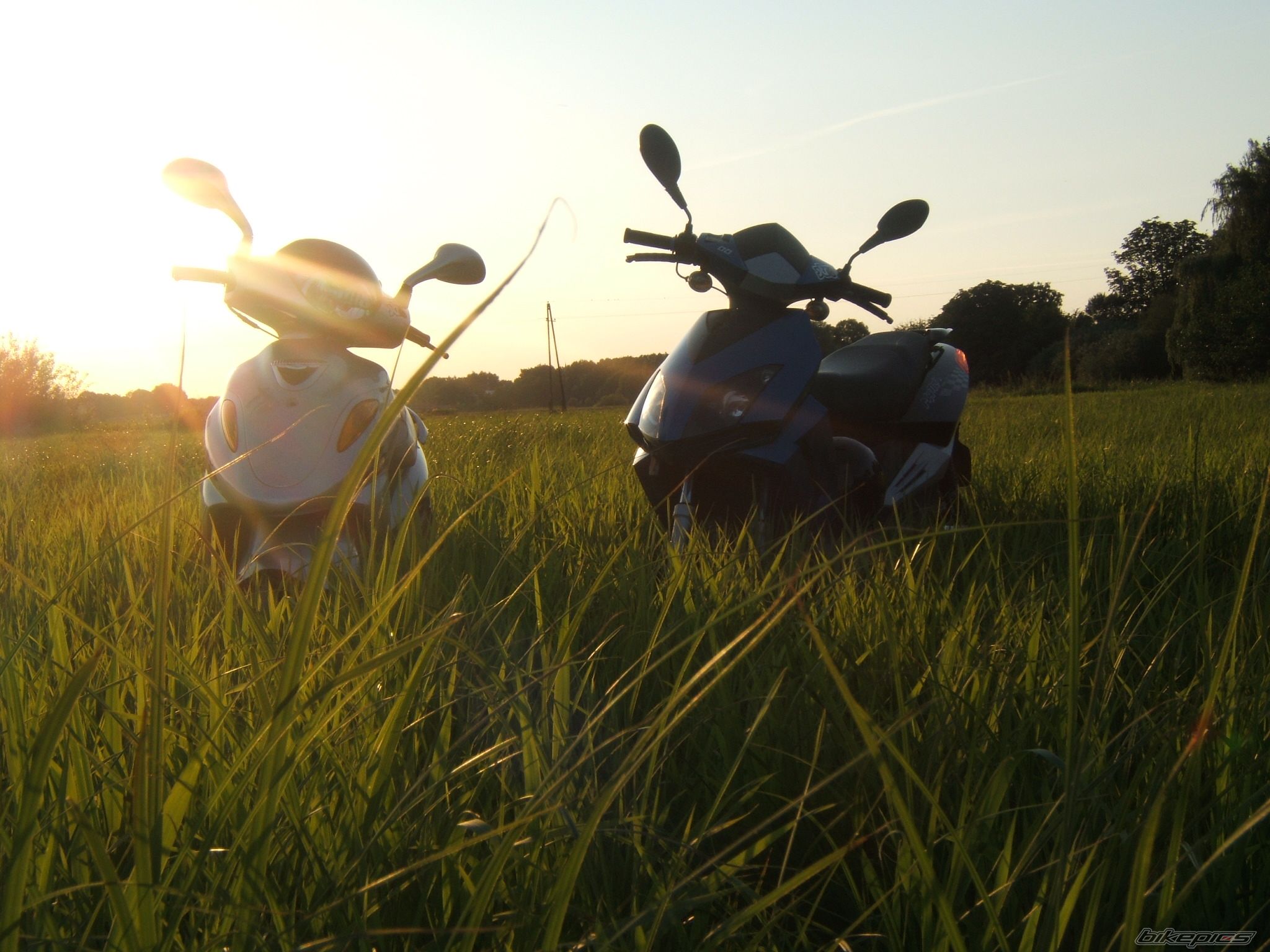 Photo 977611
