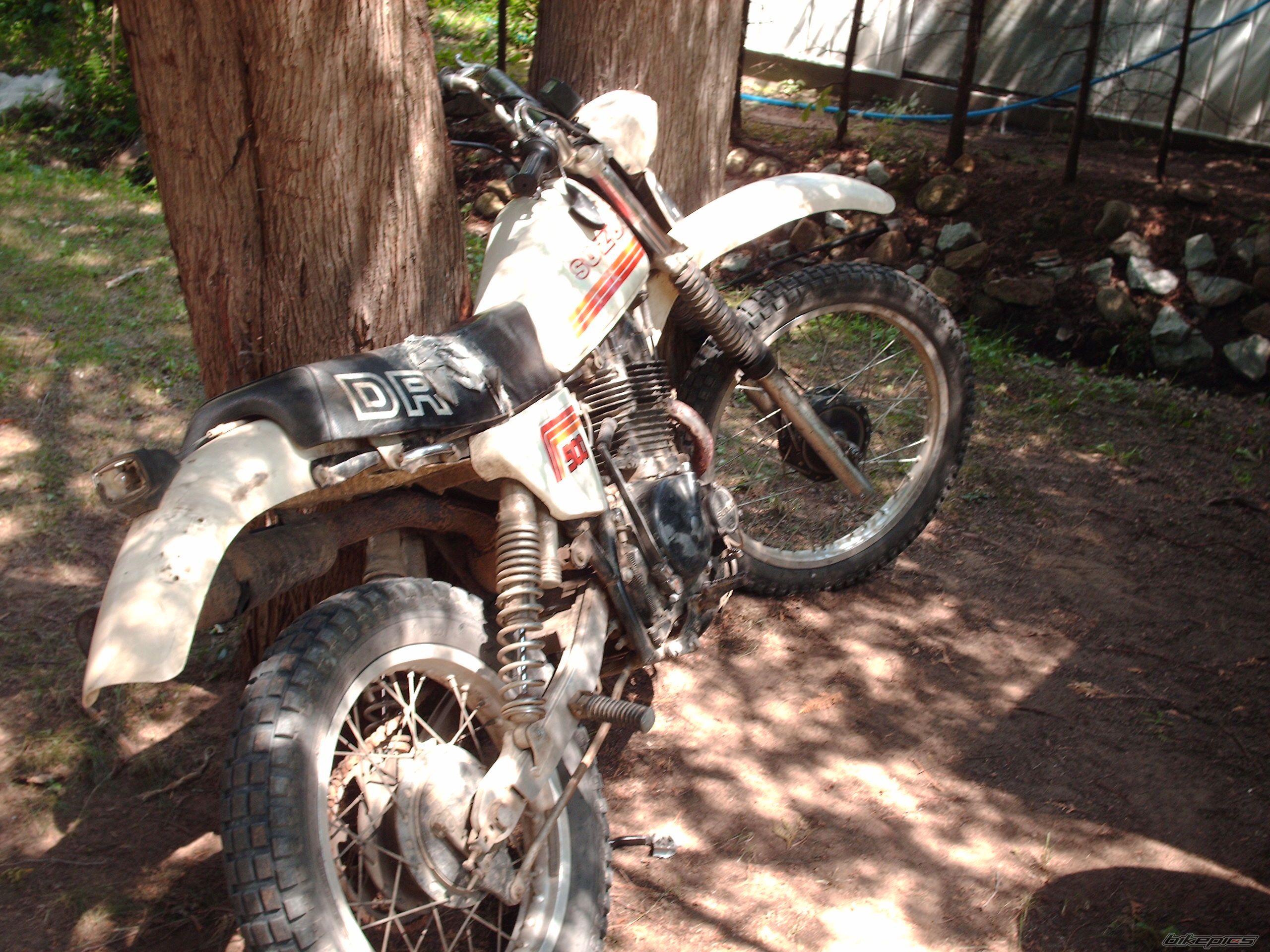 Photo 977772