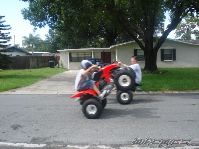 Photo 977832
