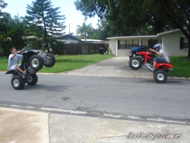 Photo 977834