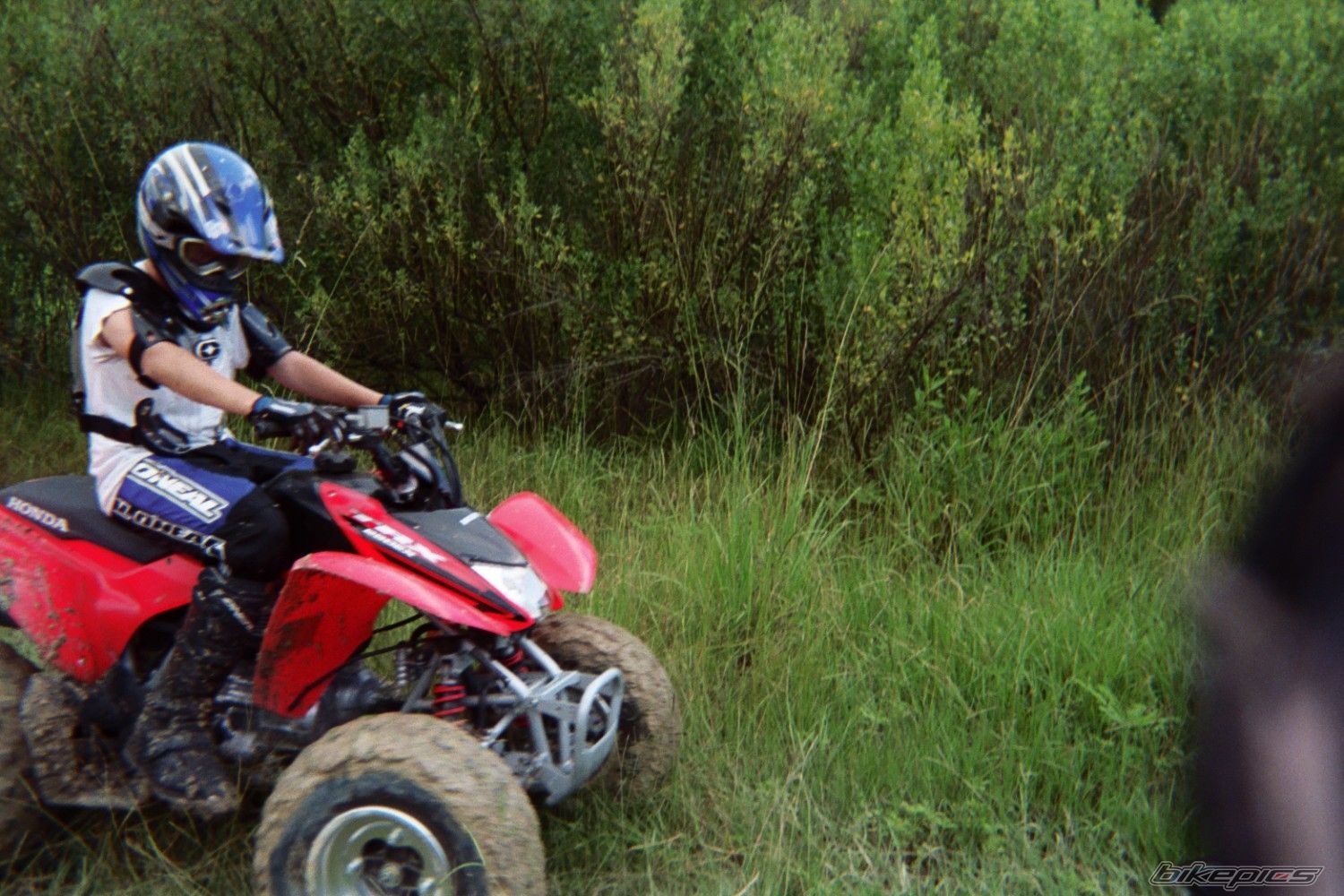 Photo 977835