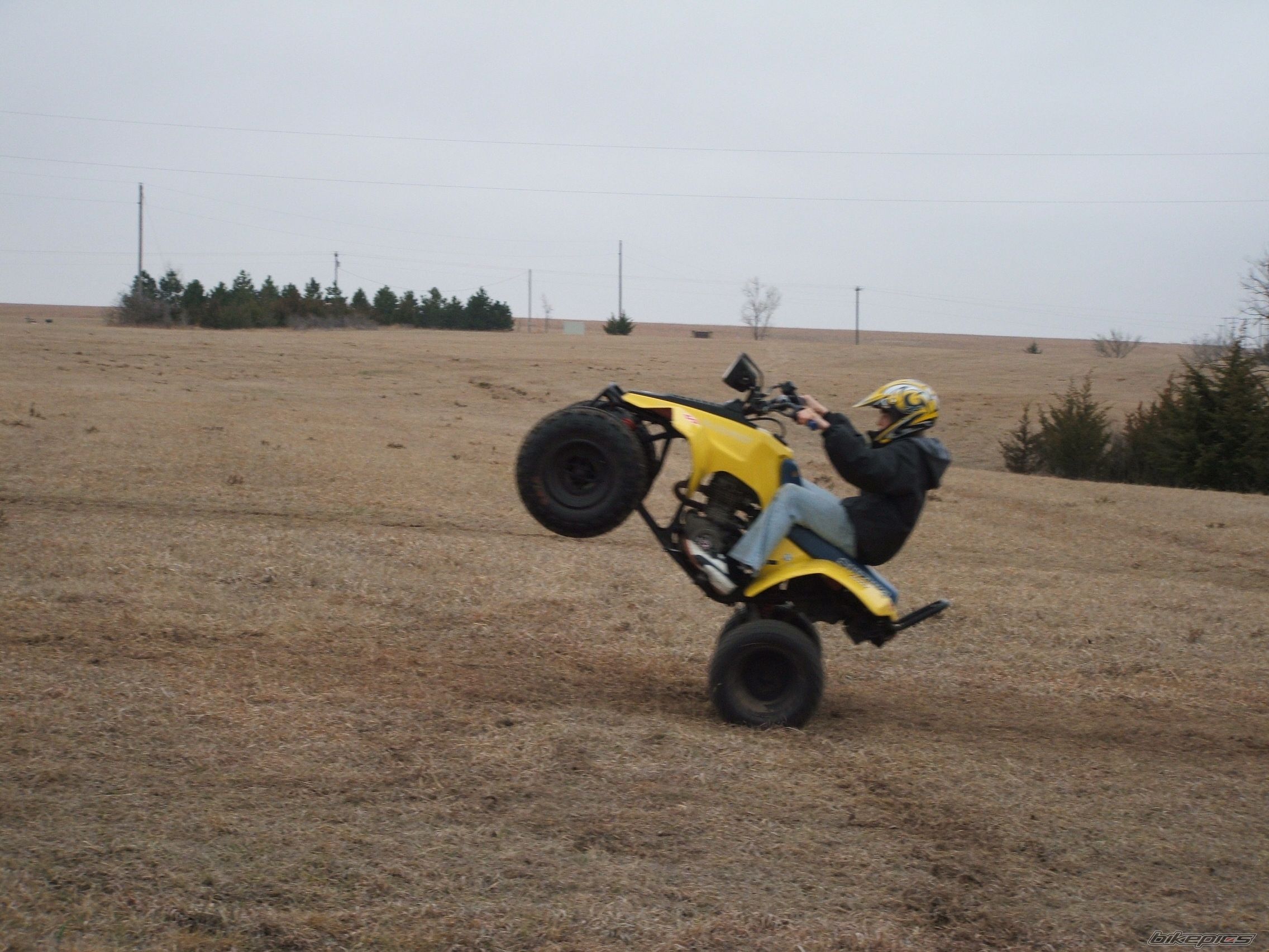 Photo 977839