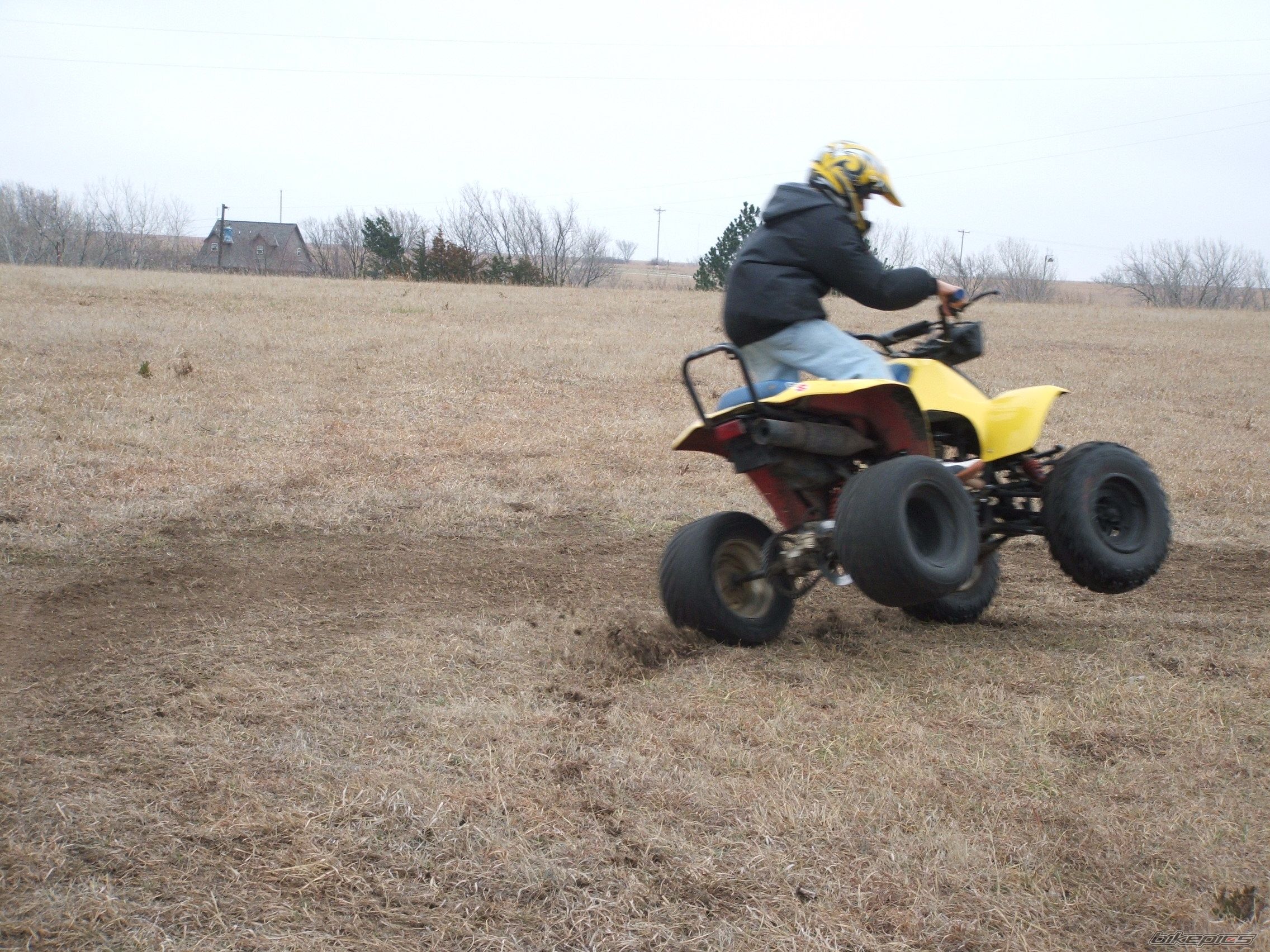 Photo 977840