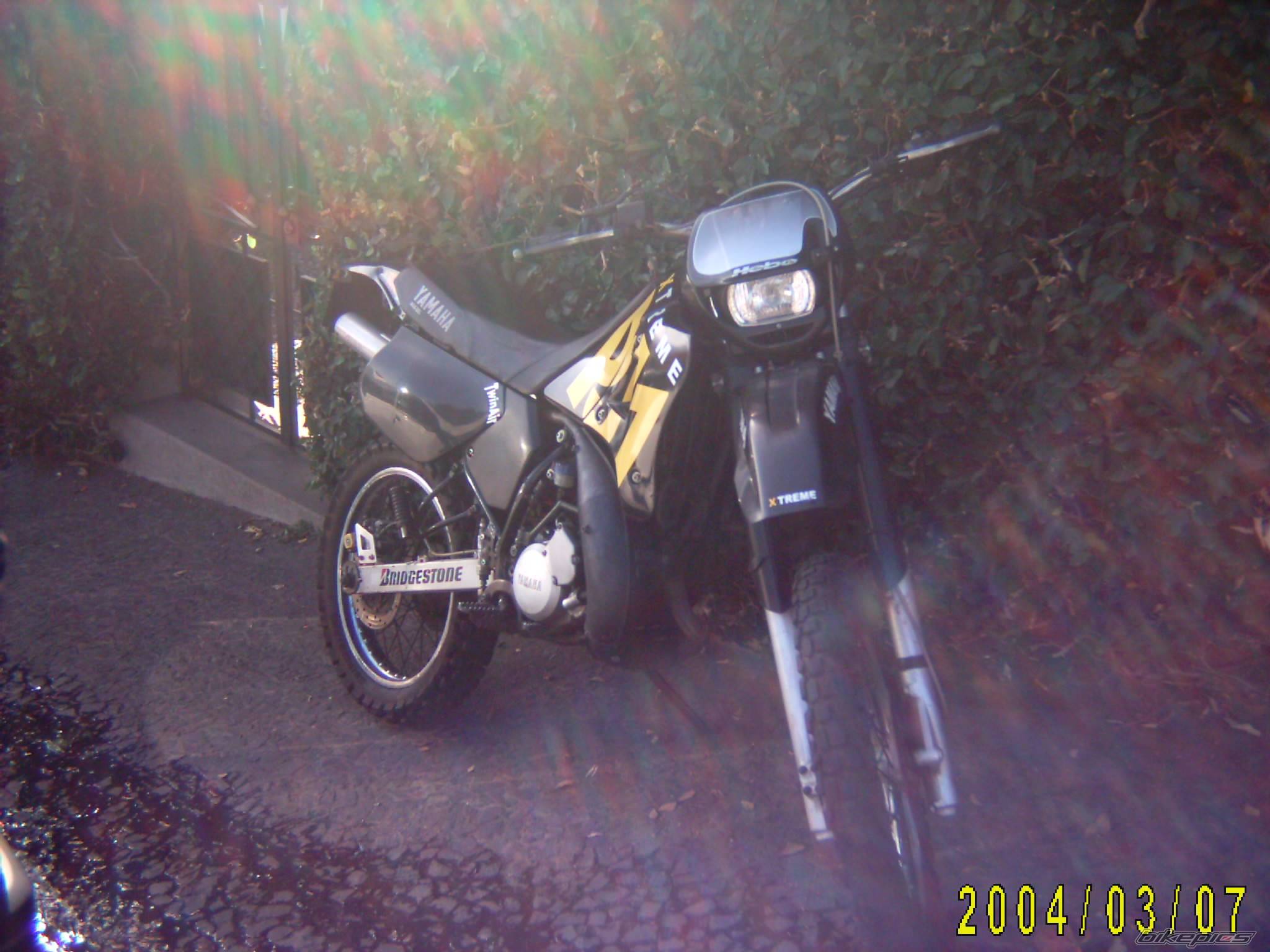 Photo 97785
