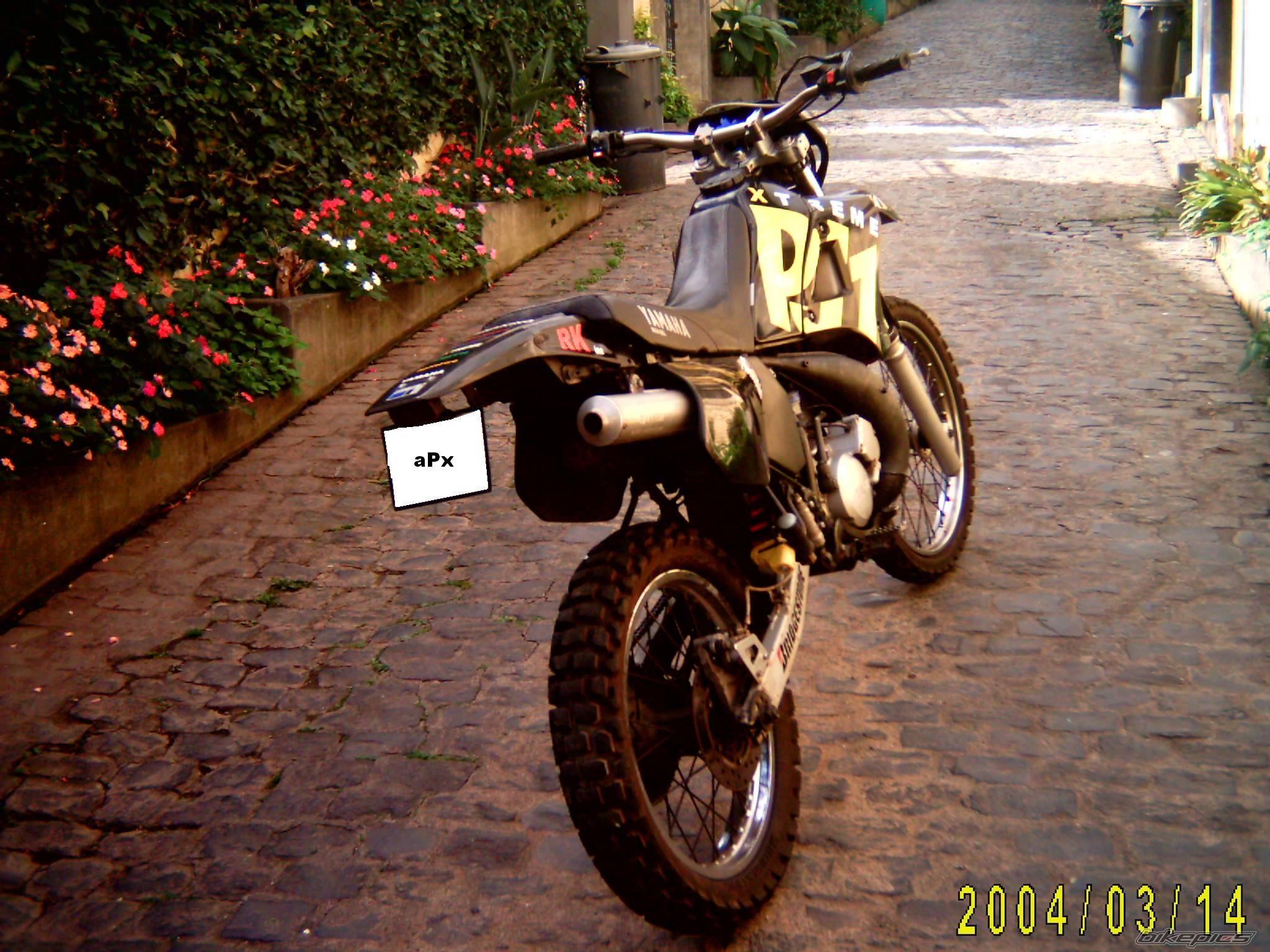 Photo 97786