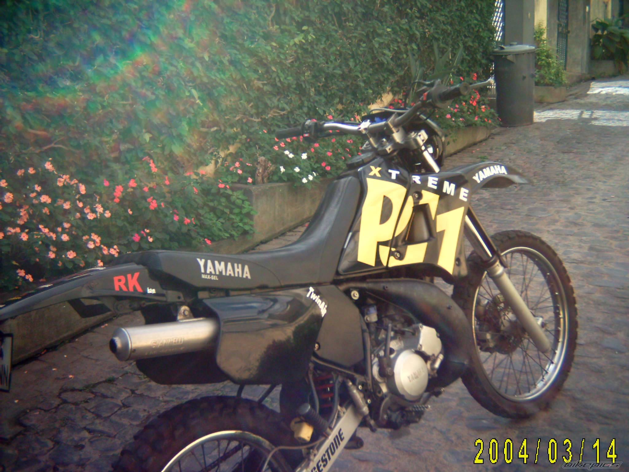 Photo 97787