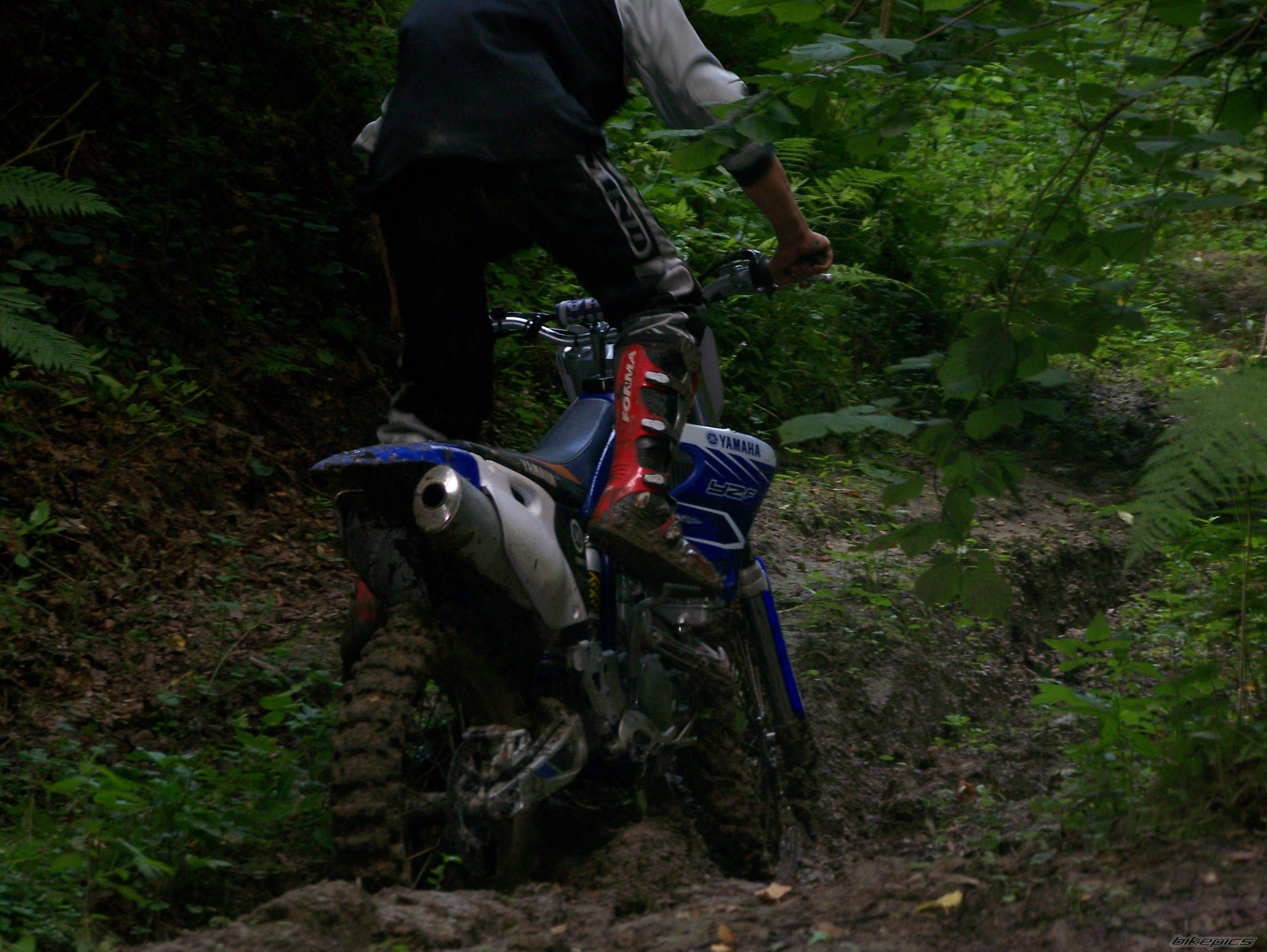 Photo 977909