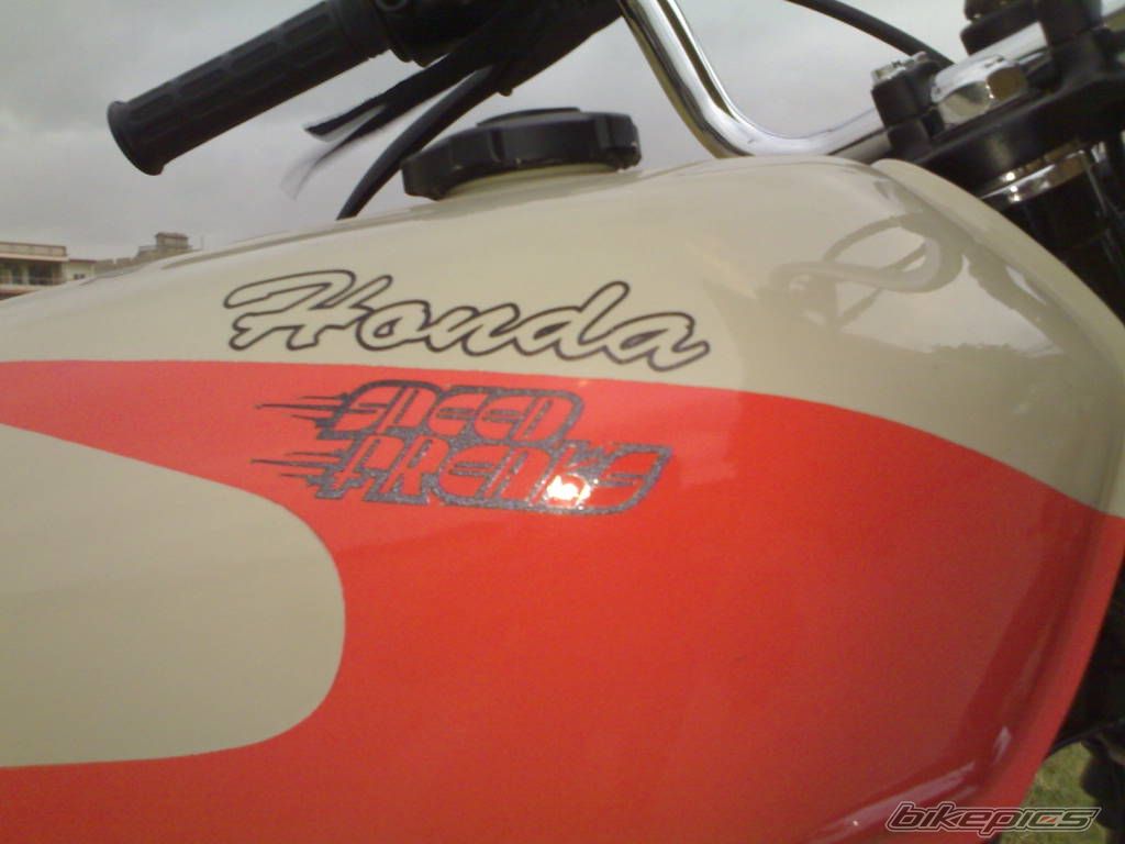 Photo 978076