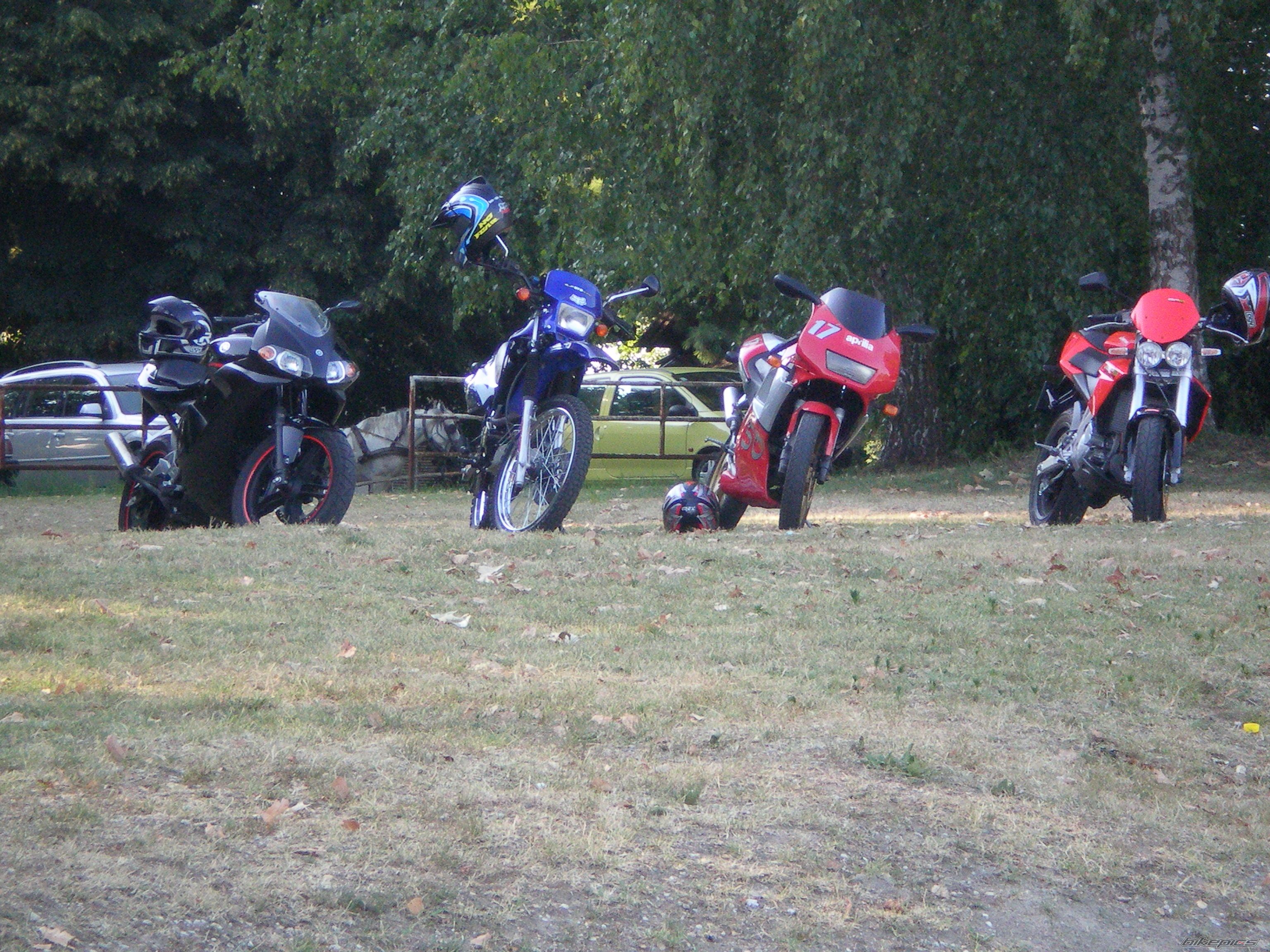 Photo 978098