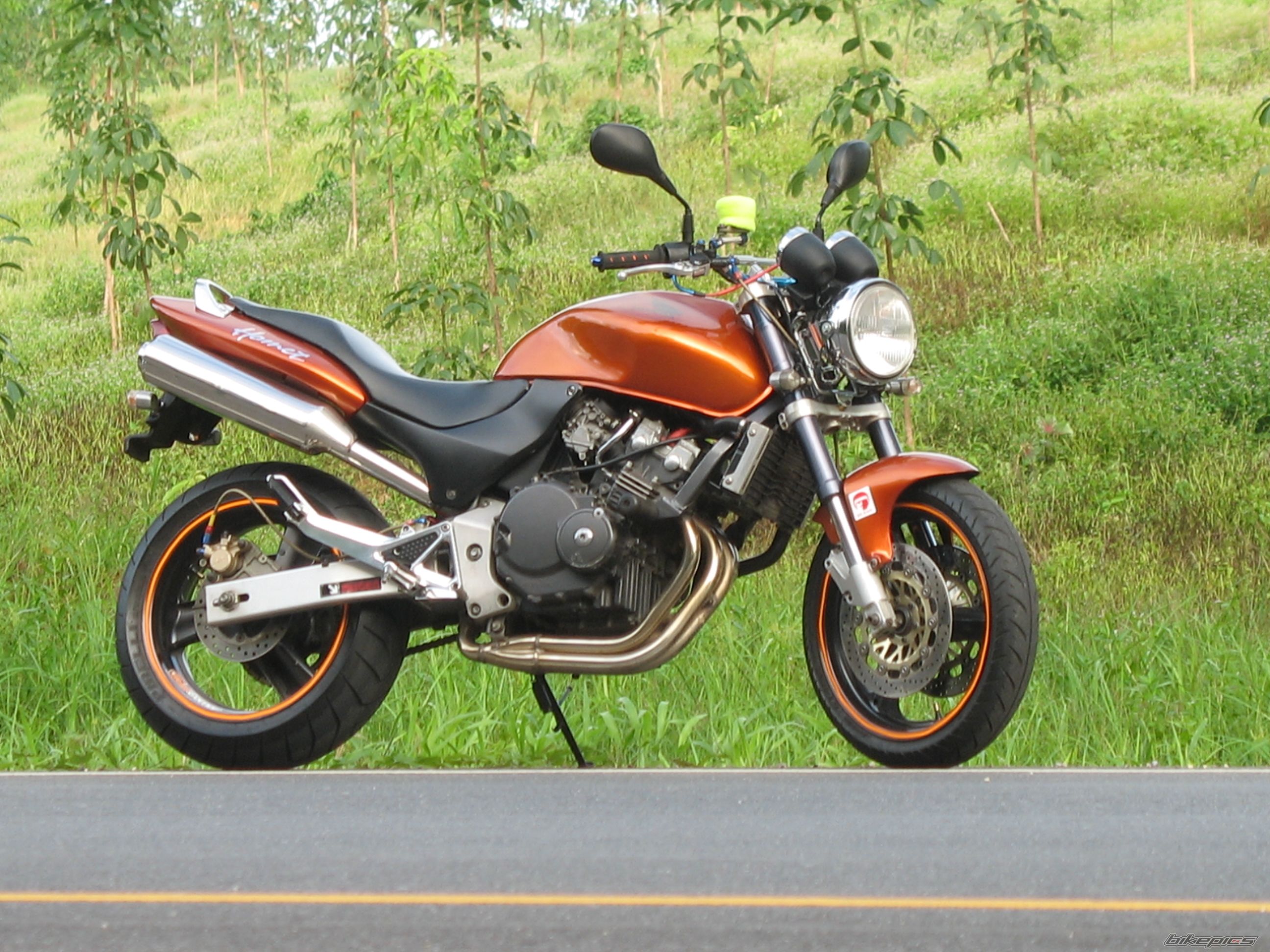 Bike Photo 978125