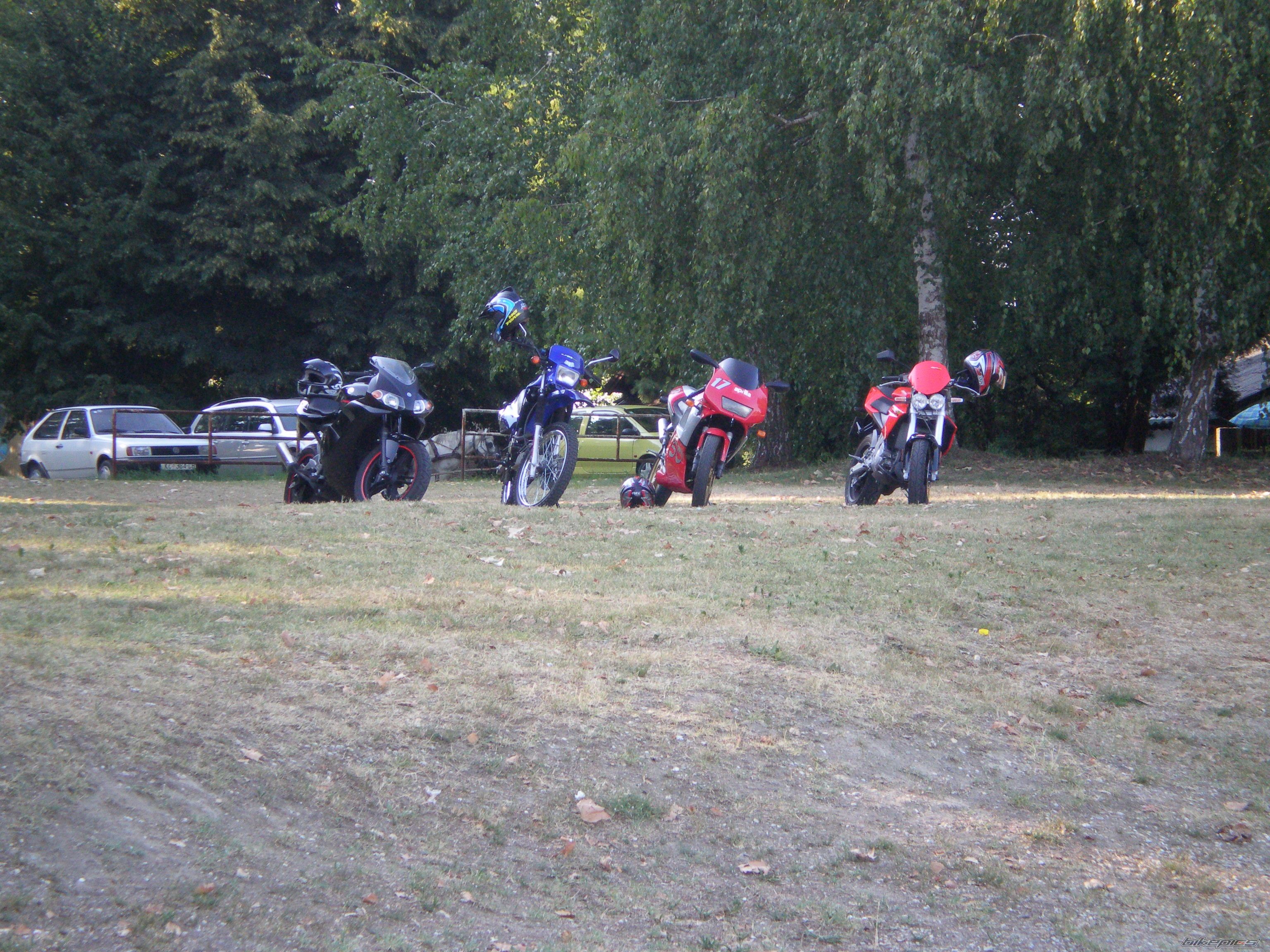 Photo 978140