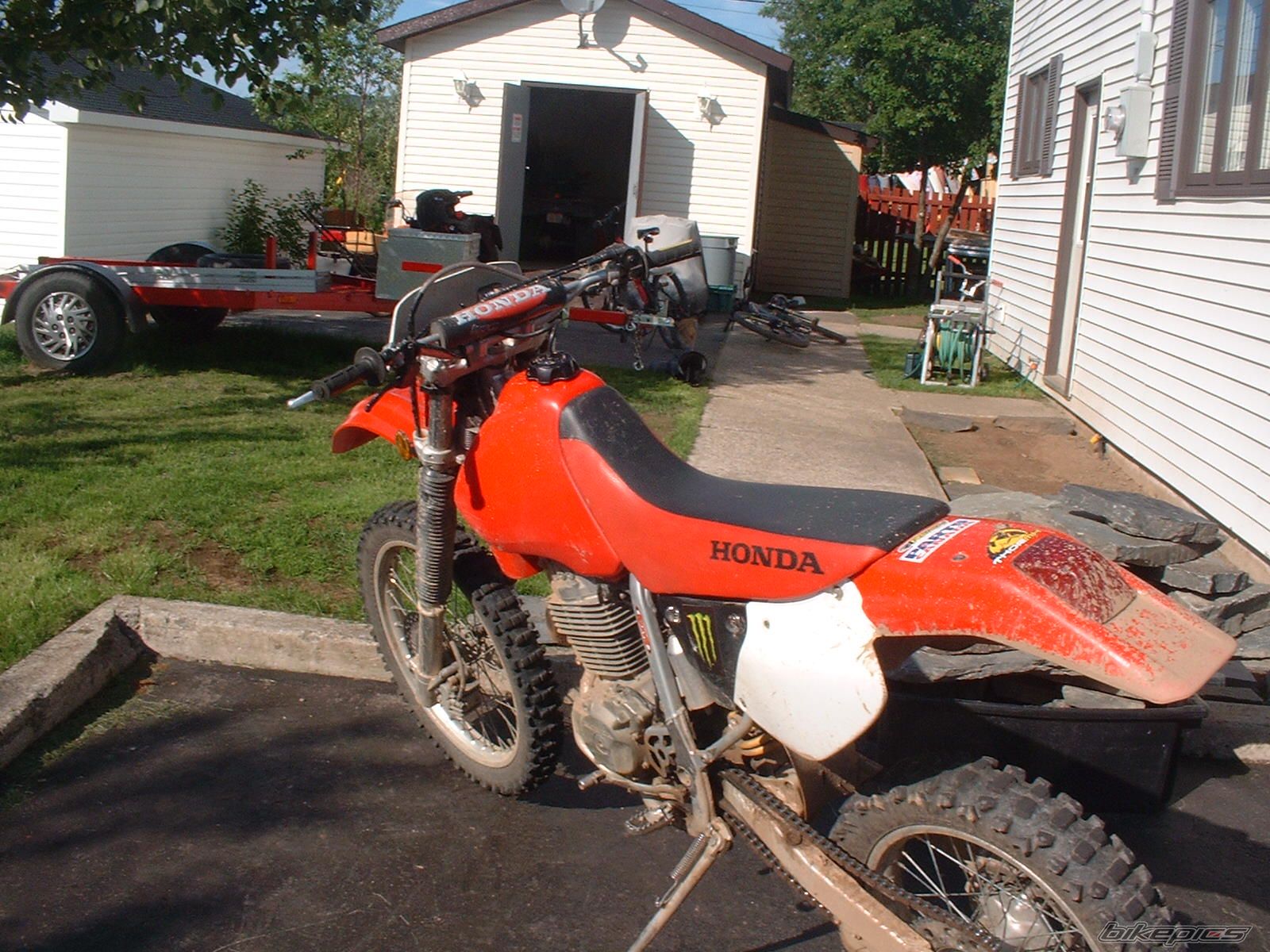Photo 978156