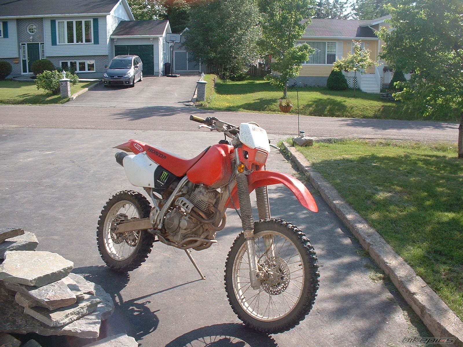 Photo 978158