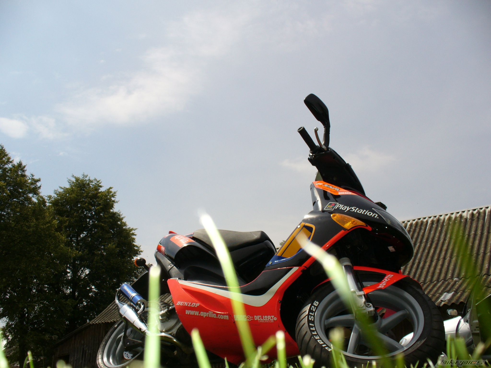 Photo 978184