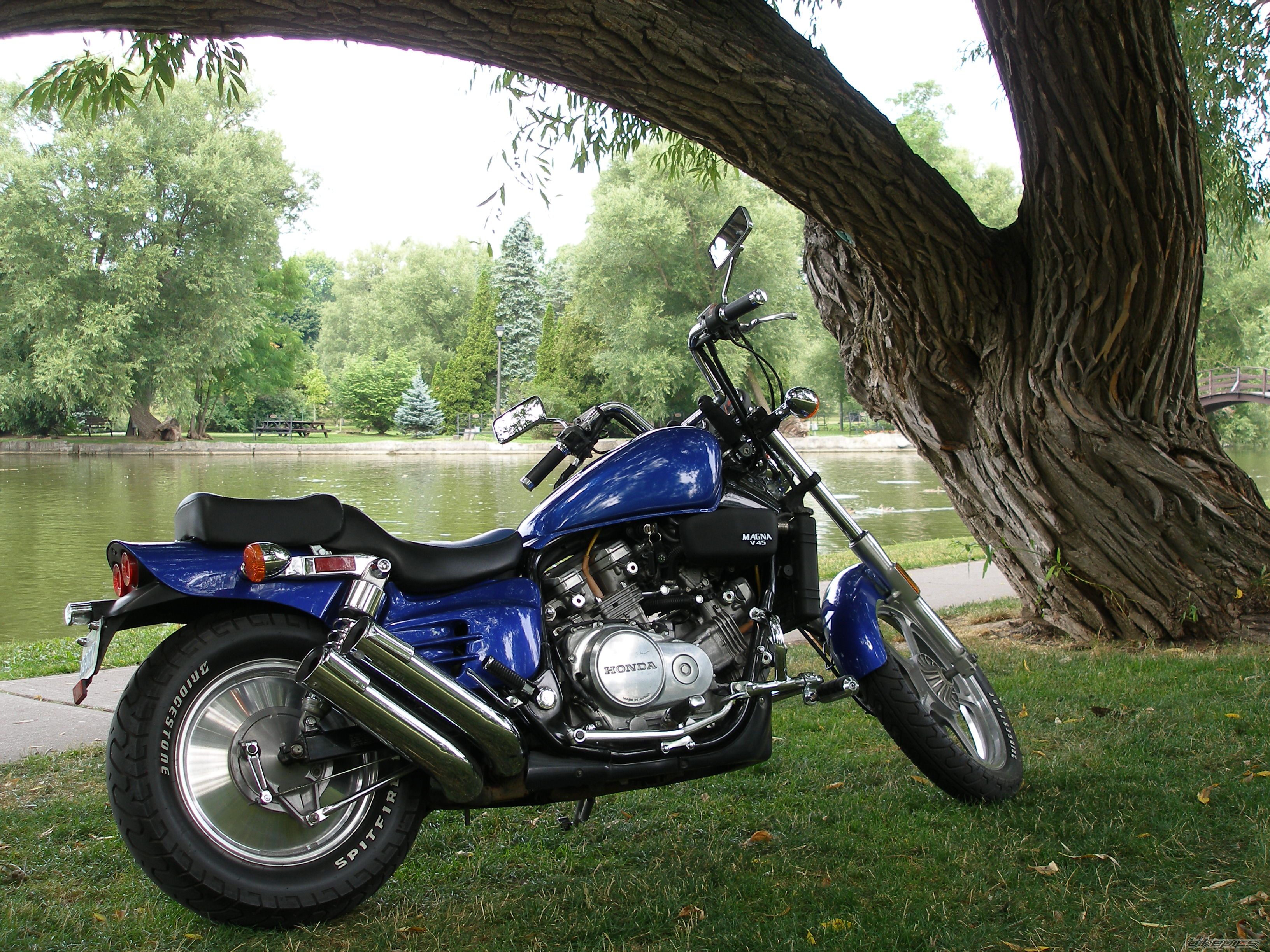 Photo 978271