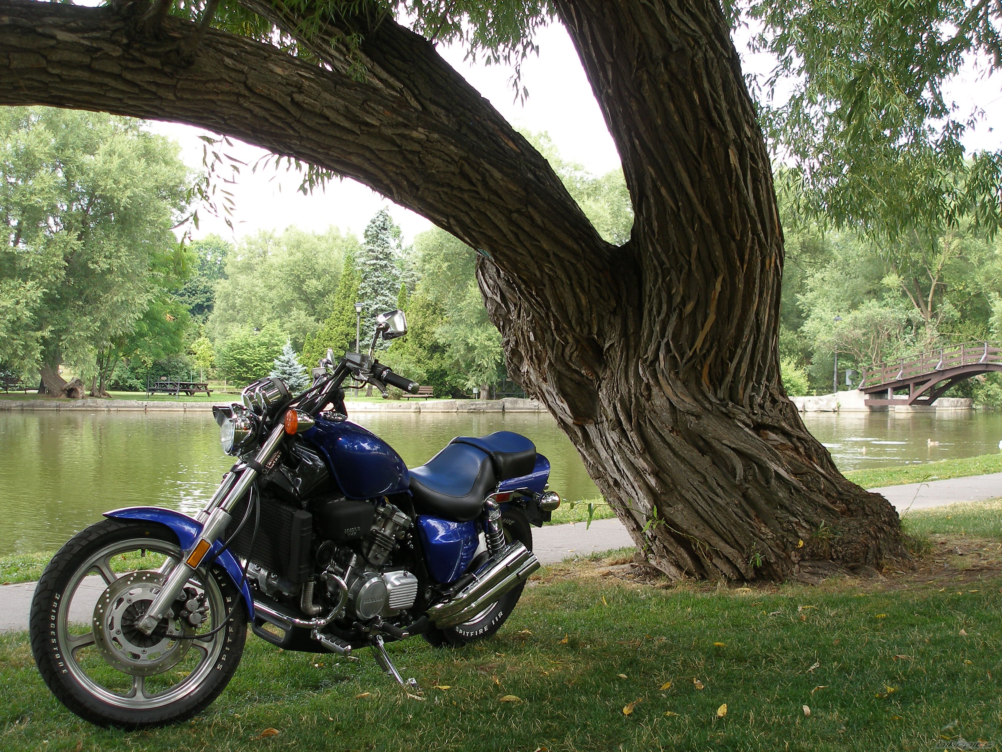 Photo 978274