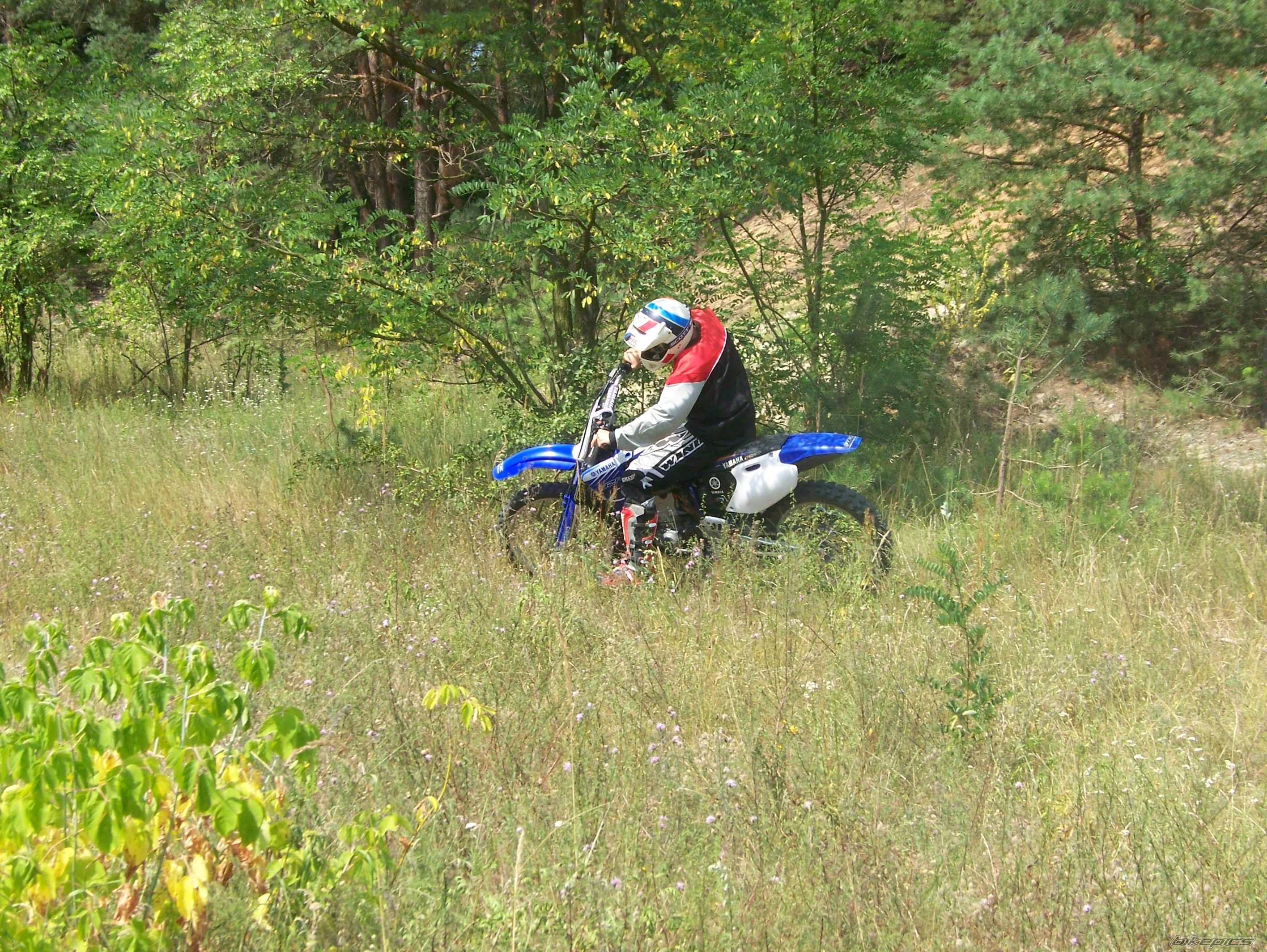 Photo 978373