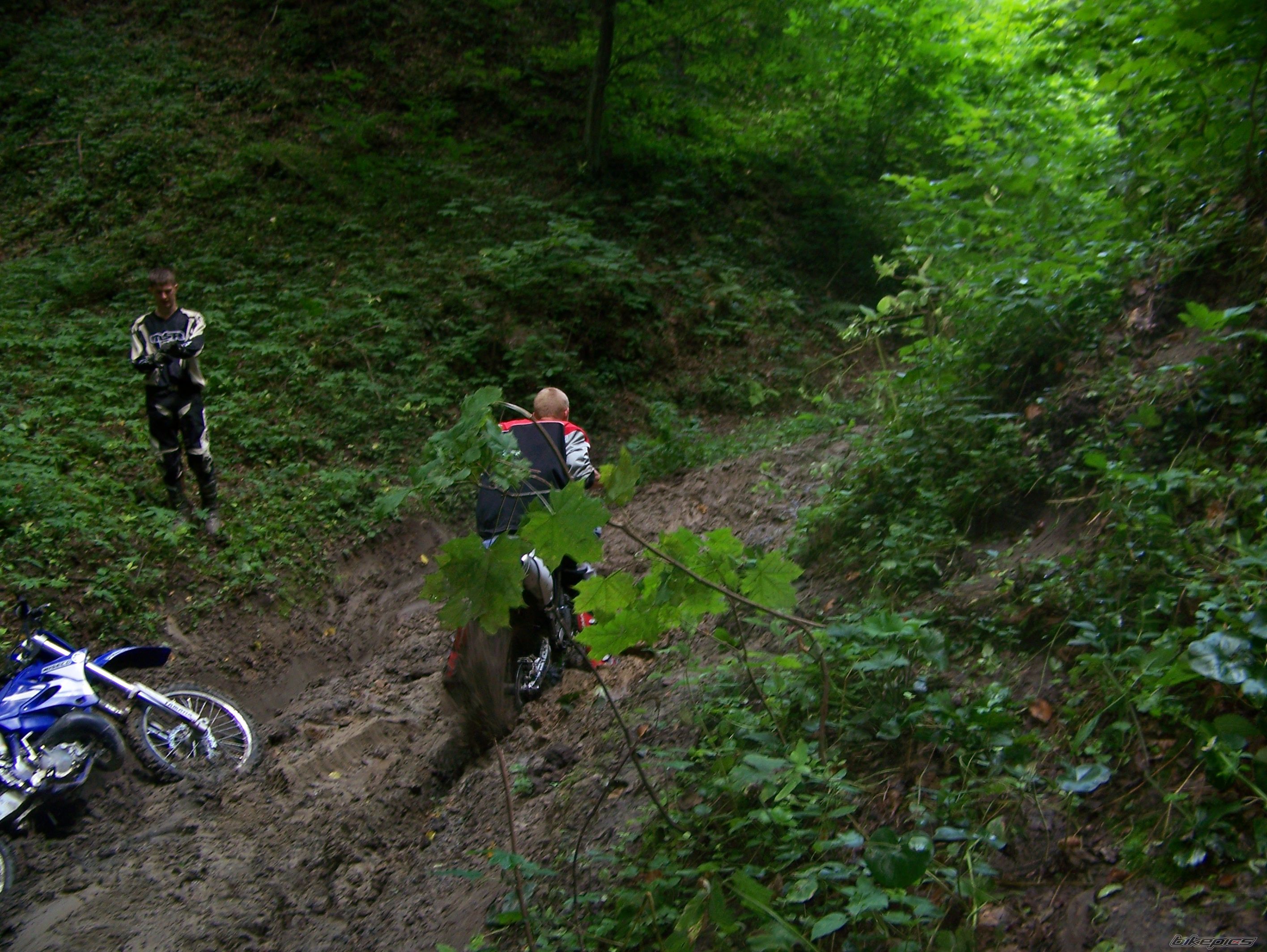 Bike Photo 978398