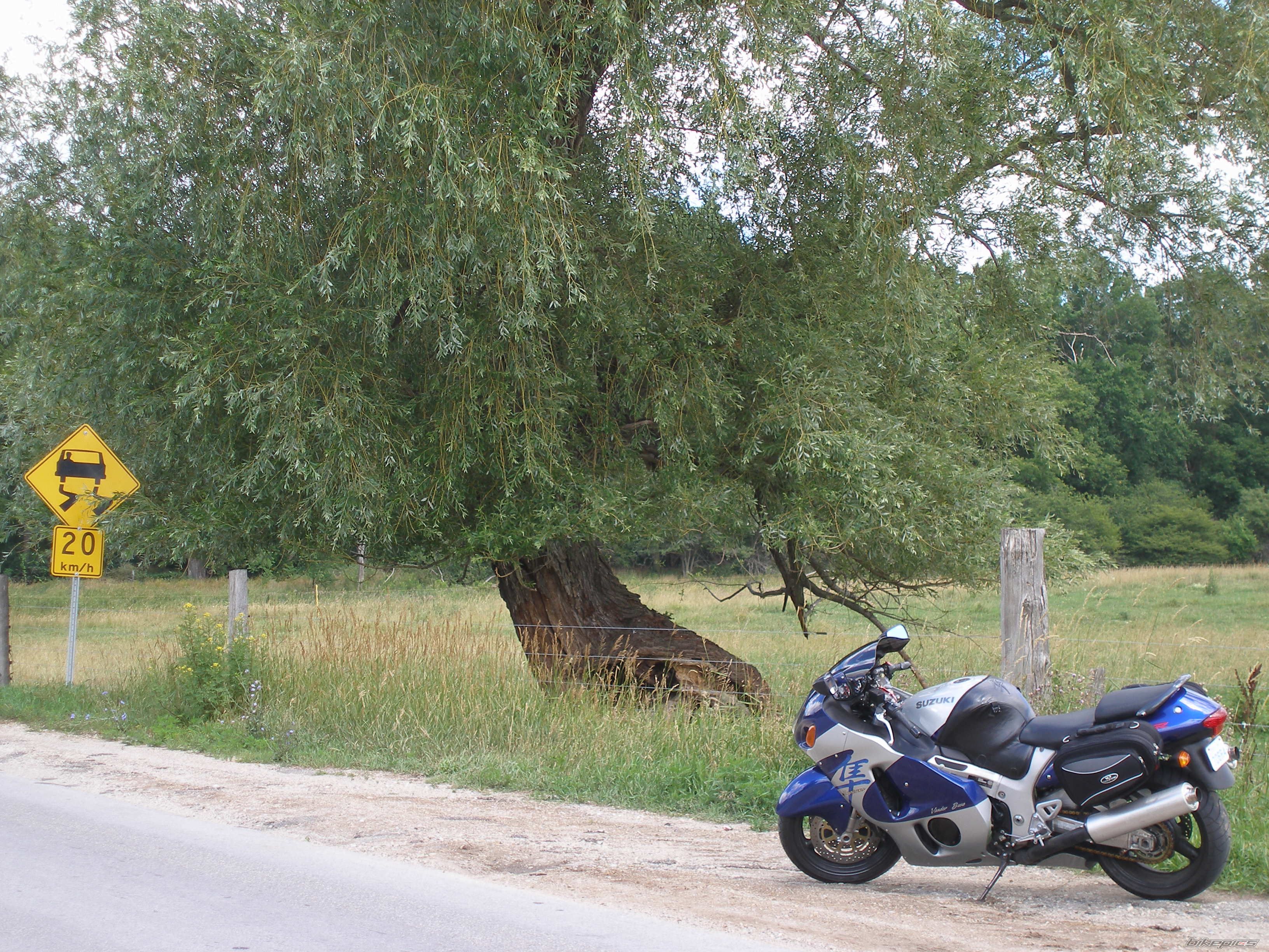 Bike Photo 978410