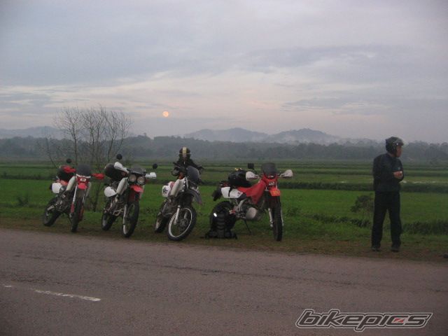 Photo 978440