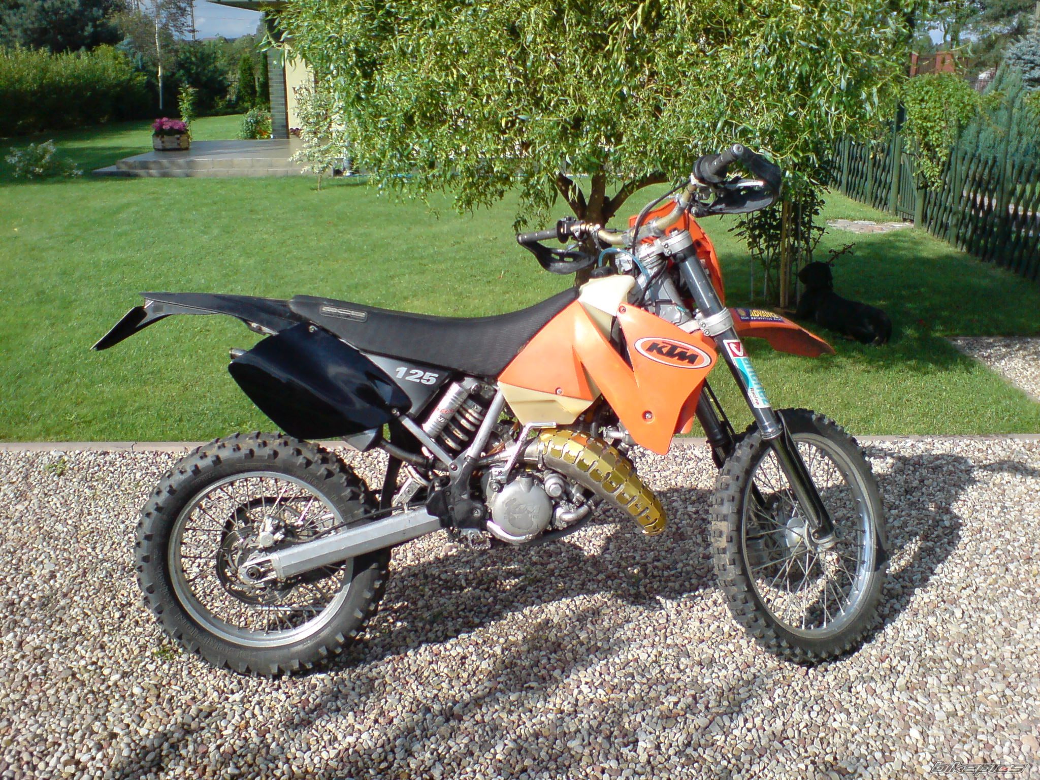 Bike Photo 978486