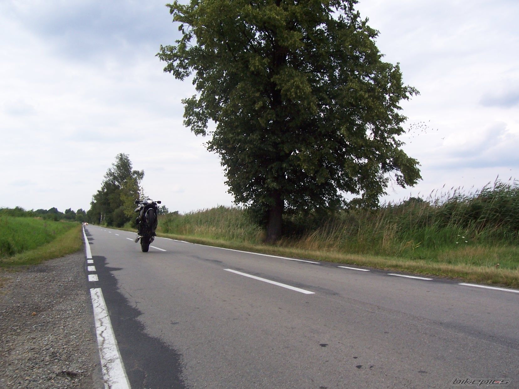 Bike Photo 978522