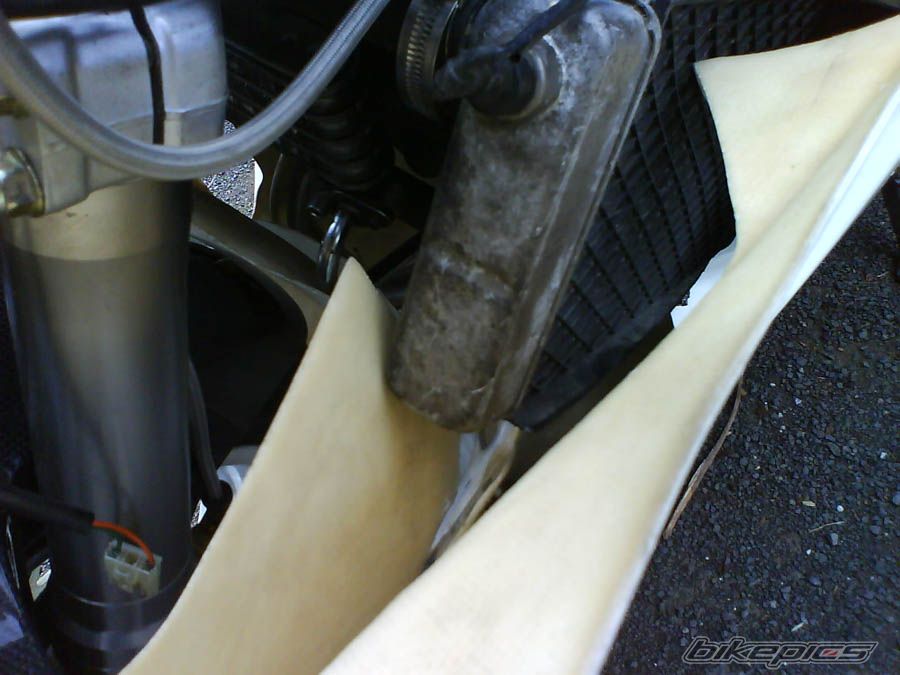 Photo 978718