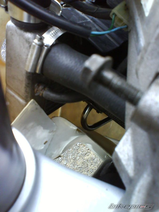 Photo 978720
