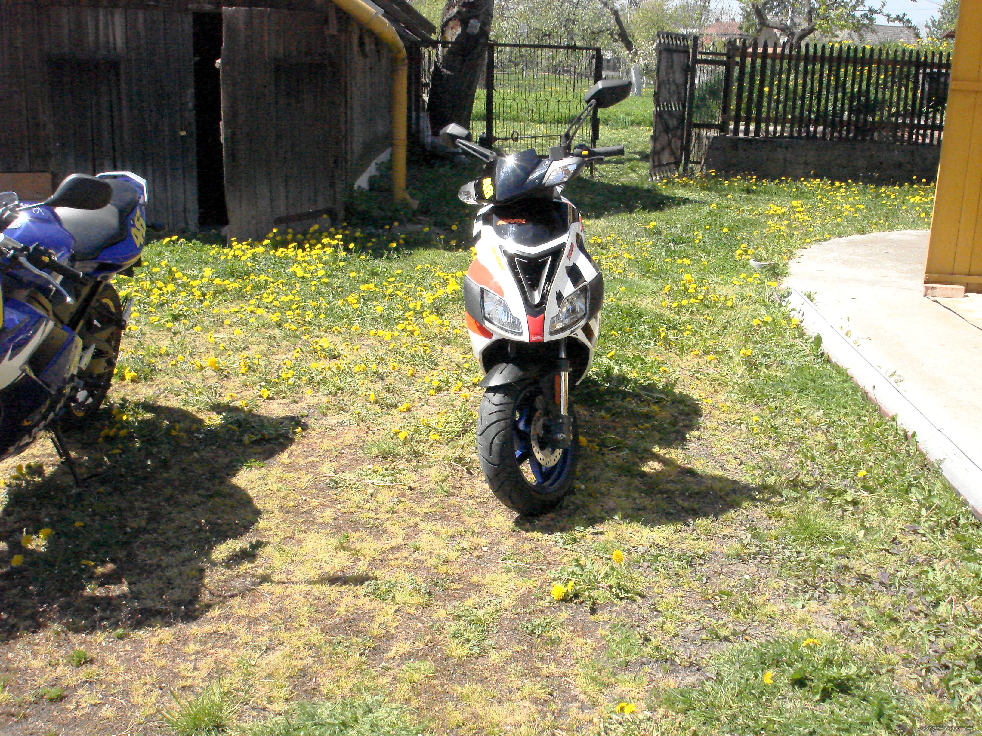 Photo 978722