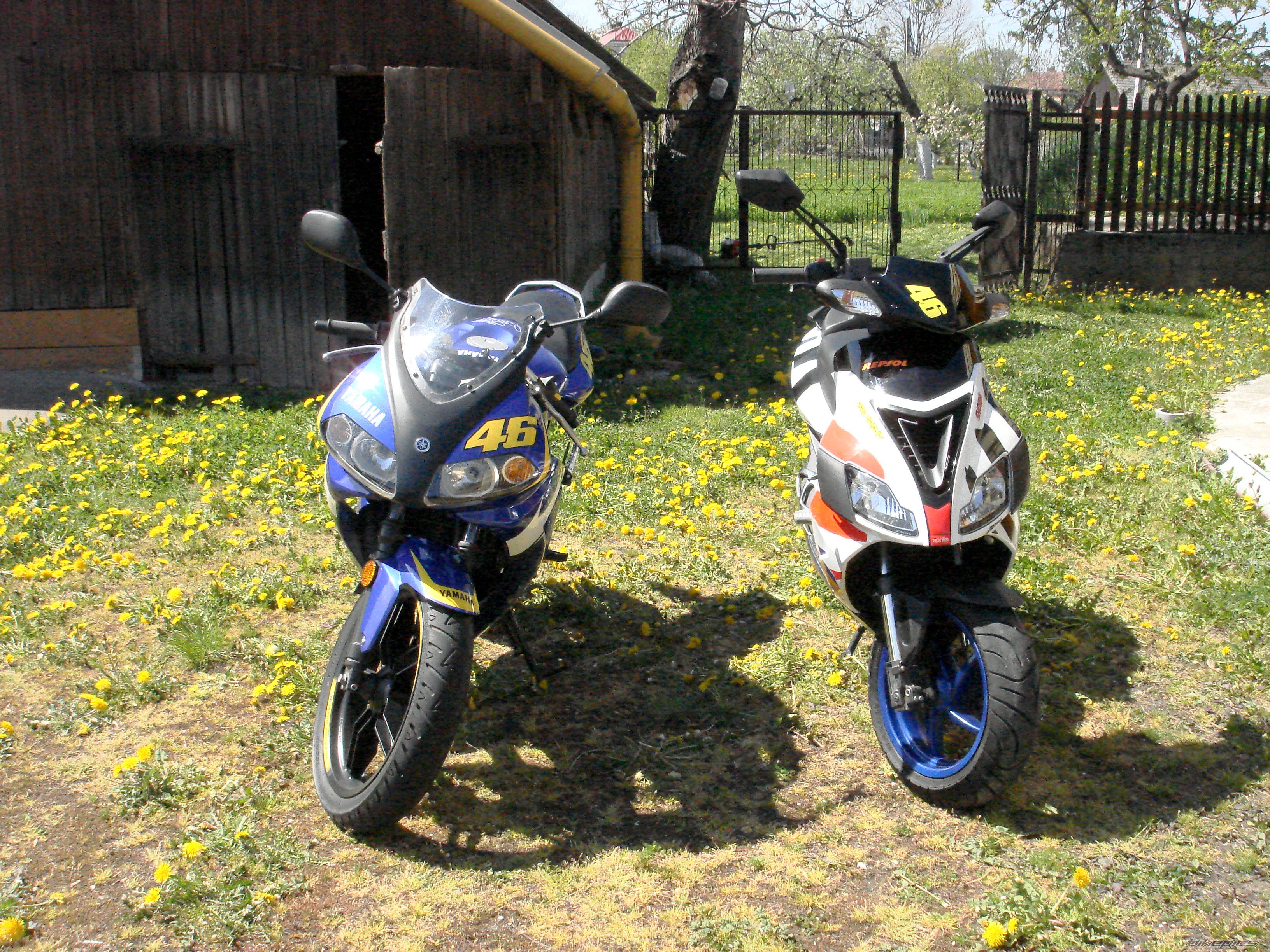 Photo 978728