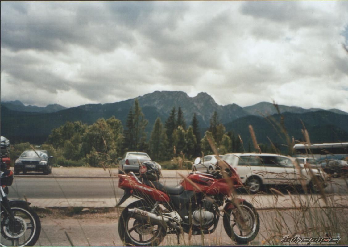 Photo 978846