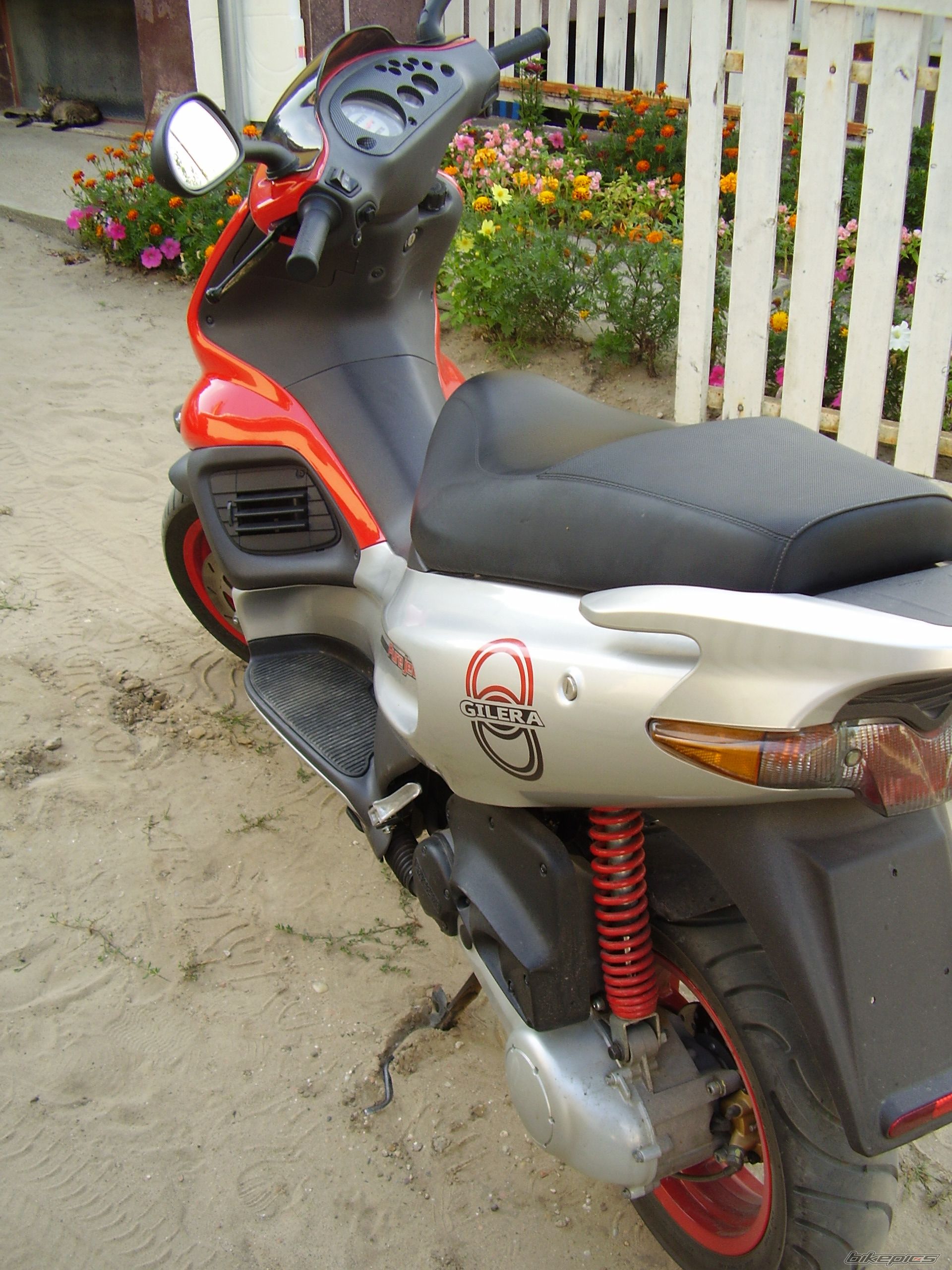 Photo 978854