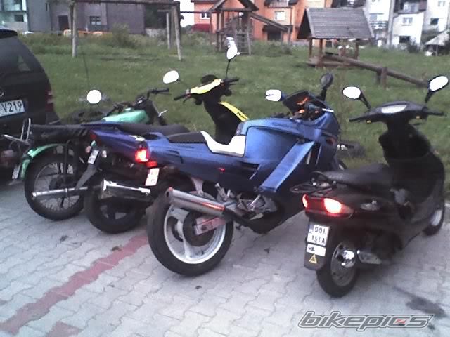 Photo 978896