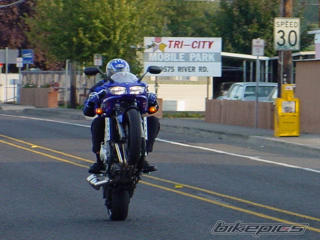 Photo 9789