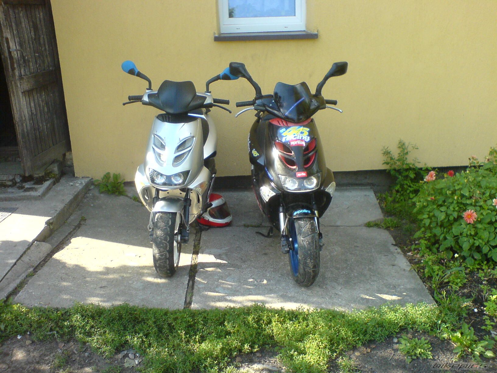 Photo 978949