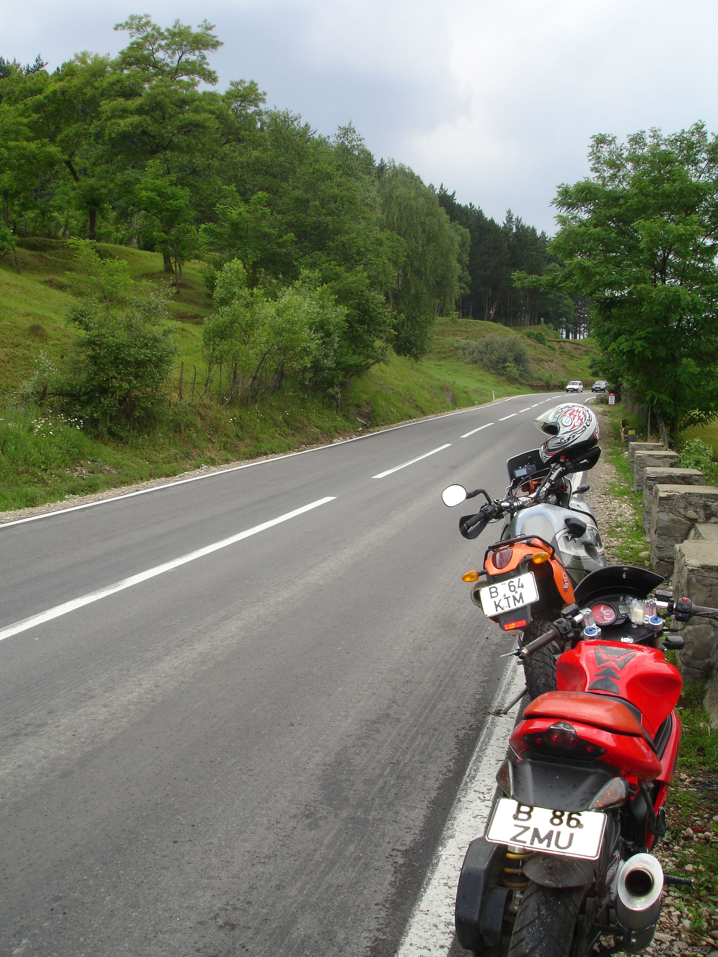 Photo 979025