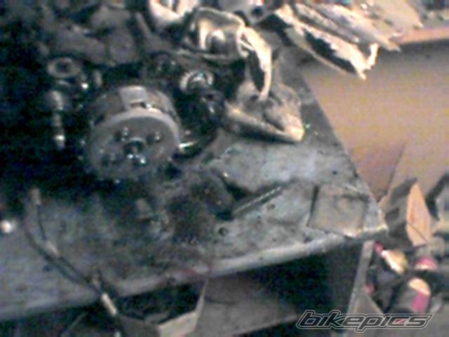 Photo 97907
