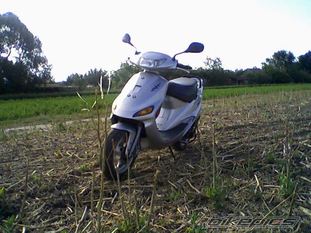 Photo 979196
