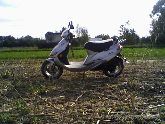 Photo 979197