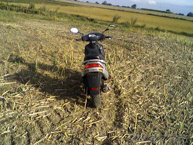 Photo 979198