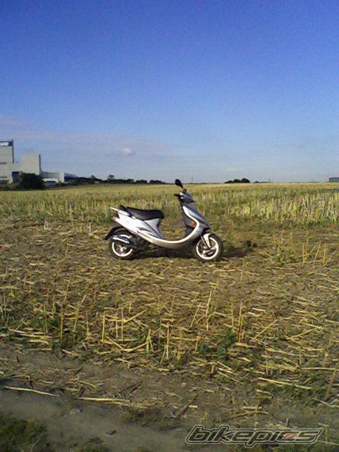 Photo 979199