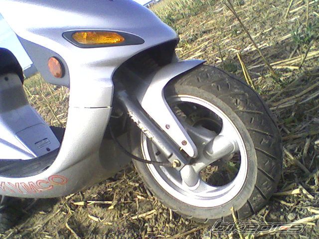 Photo 979205