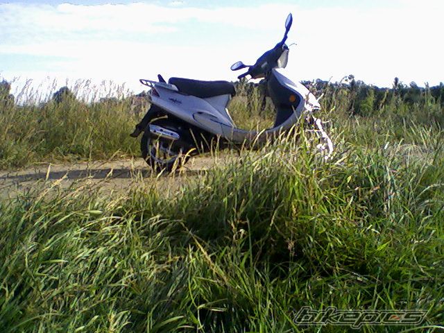 Photo 979207