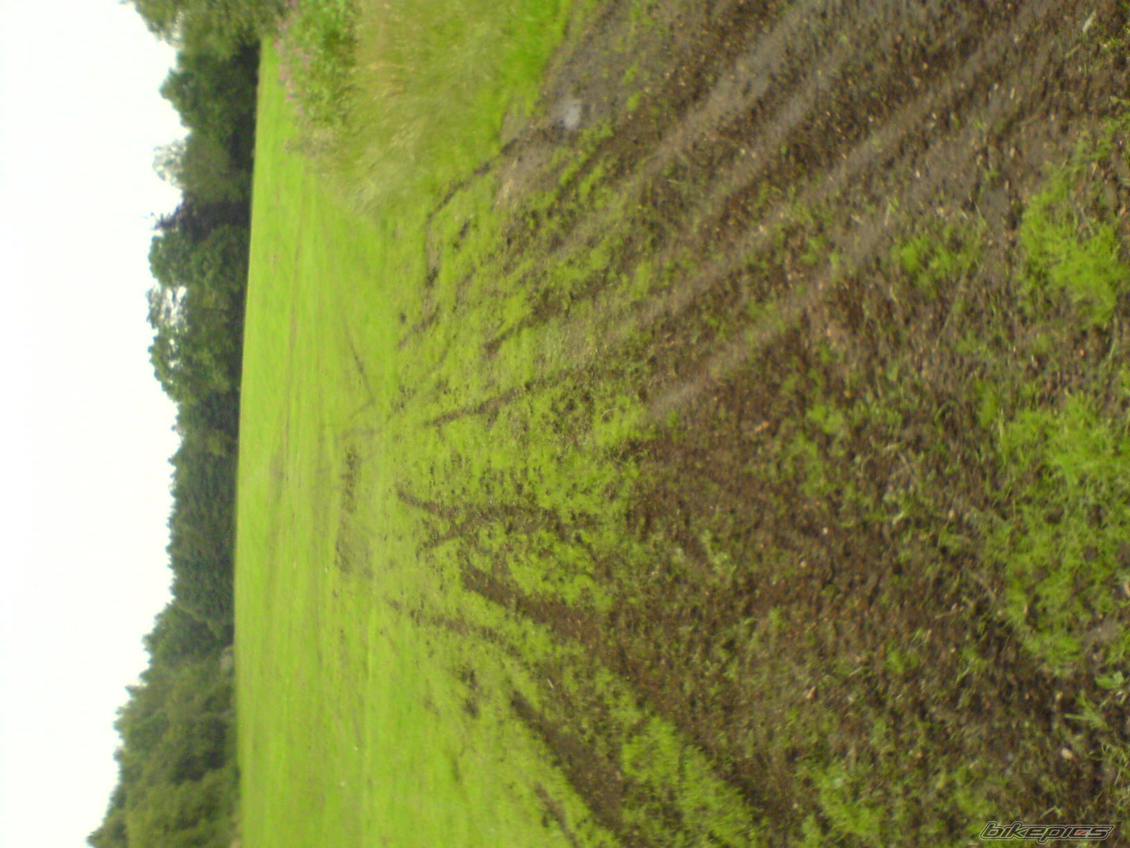 Photo 979288